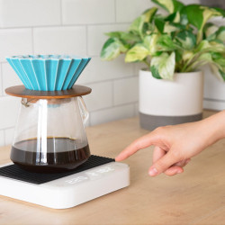 Acaia Nueva Perla Blanca