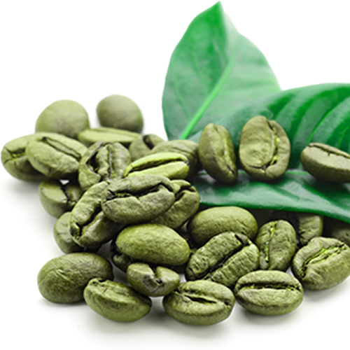 Coffea arabica - semillas