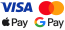 Pago con tarjeta (GoPay) / Apple Pay / Google Pay