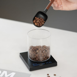 TIMEMORE Black Mirror Mini (negro) – báscula de café digital