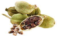 cardamomo para el café
